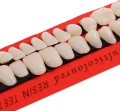 Sztuczne zęby z żywicy implant sztuczny ząb 28 szt. proteza korona góra dół