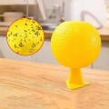 Kulki na mole żółte lepy ziemiórki spożywcze owocówki dwie sztuki