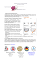 page2image256.png