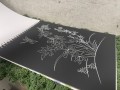 IMG-4108.JPG