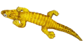 pokmaranczowa x8.png