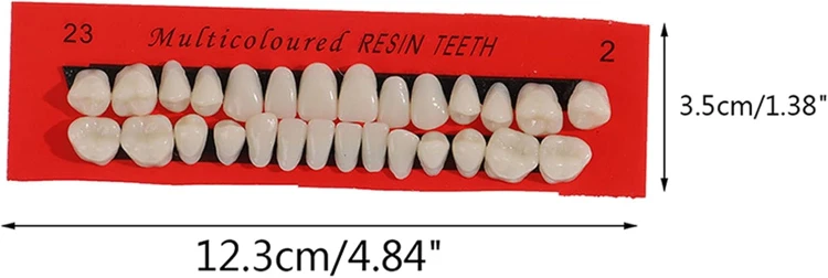 Sztuczne zęby z żywicy implant sztuczny ząb 28 szt. proteza korona góra dół