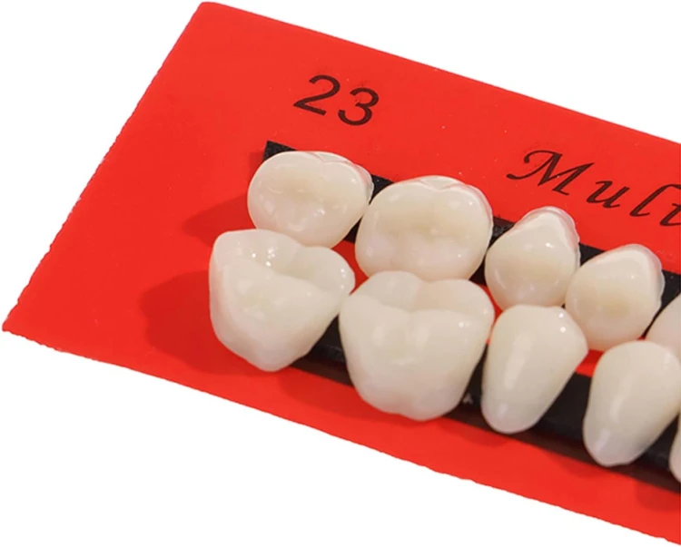 Sztuczne zęby z żywicy implant sztuczny ząb 28 szt. proteza korona góra dół