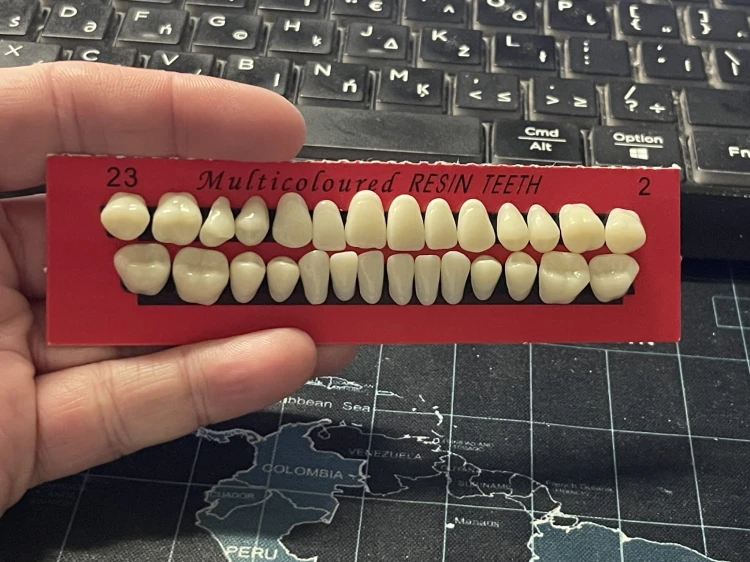 Sztuczne zęby z żywicy implant sztuczny ząb 28 szt. proteza korona góra dół