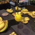 Kulki na mole żółte lepy ziemiórki spożywcze owocówki dwie sztuki