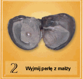 pol_pl_Perla-szczescia-i-milosci-prawdziwa--83_6.gif