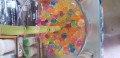 20180517_085248.jpg