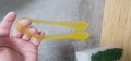 20201027_175905.jpg