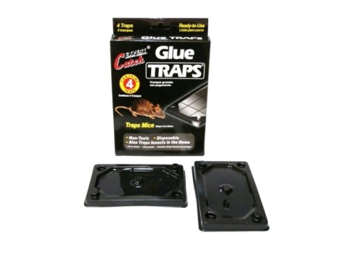 70db200e3c9e7e66fe34ea742601efa6.jpg