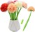 61JFShqf6RL._AC_SL1200_.jpg