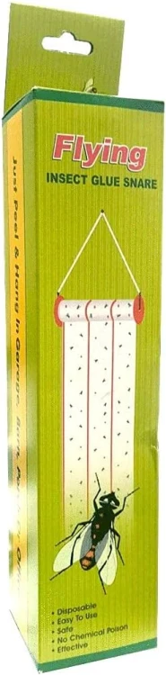 51qG2zb6TKL._AC_SL1024_.jpg