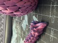 IMG_5872.jpeg
