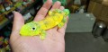20171117_125958.jpg